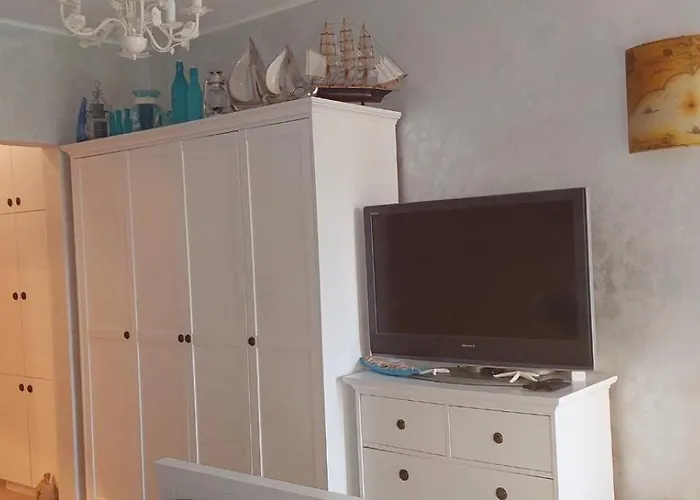 Delfin * סוזופול